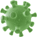 У 40.6% людей, прошедших обследование в МК «Линия Здоровья»,<br> выявлены антитела к SARS-CoV-2!